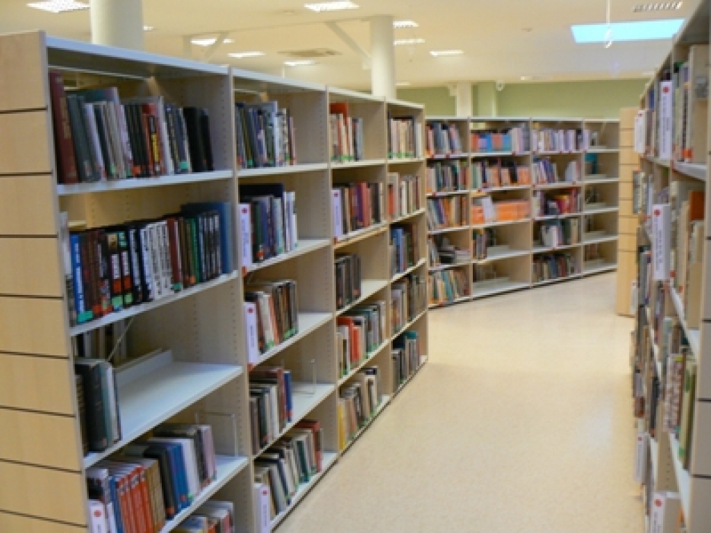 Spriedīs par novadu bibliotēku sociālo lomu