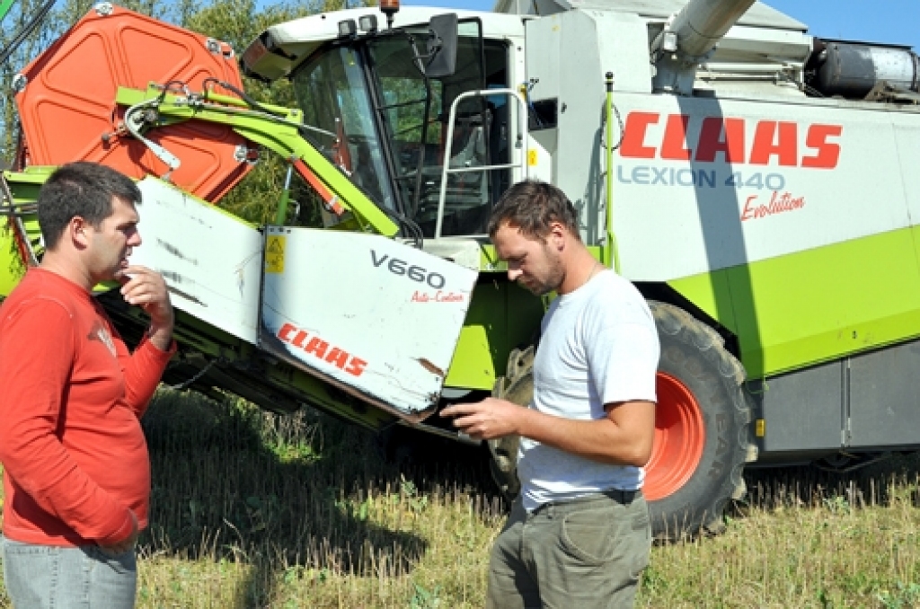 Novembra beigās paziņos konkursa «Zelta rapsis 2009» uzvarētāju