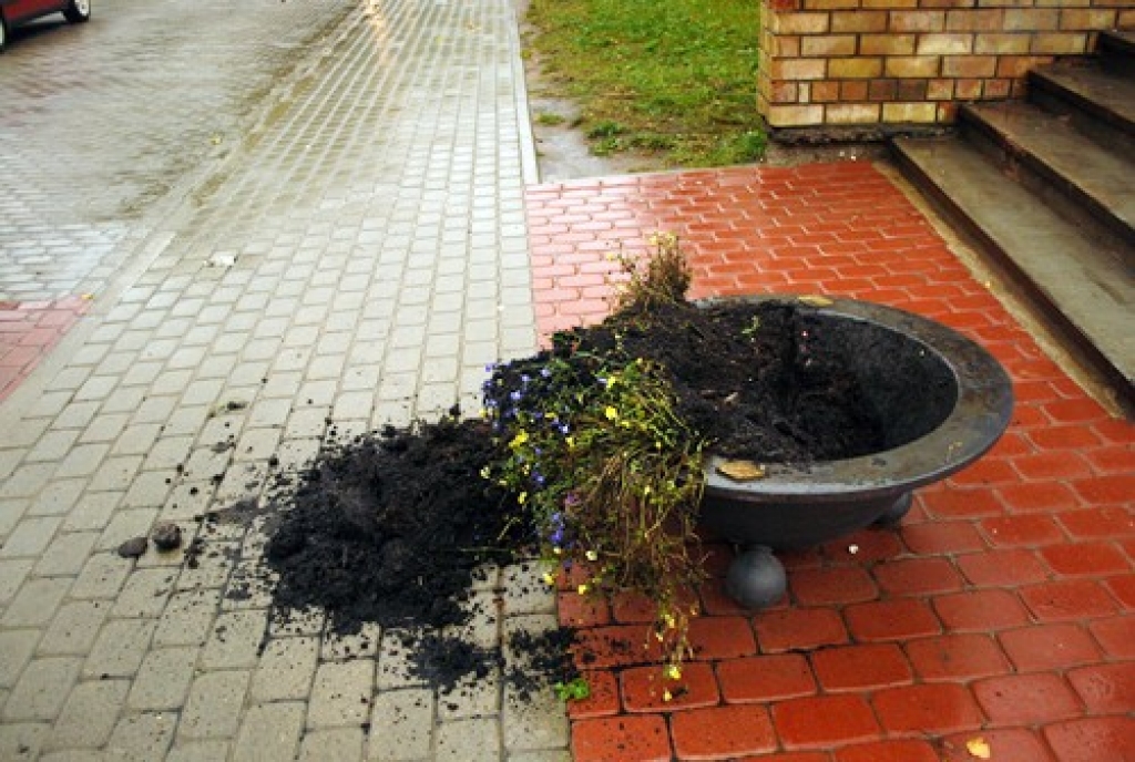 Vandaļi plosās Bauskā