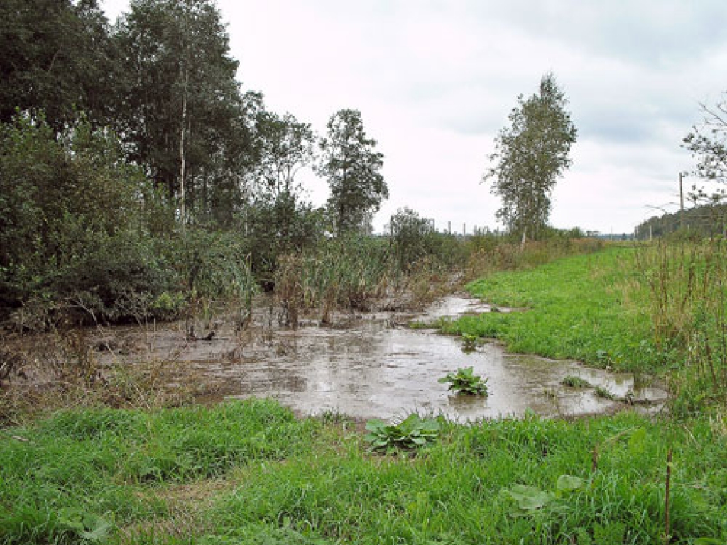 Piesārņojums neapdraud Misas upi
