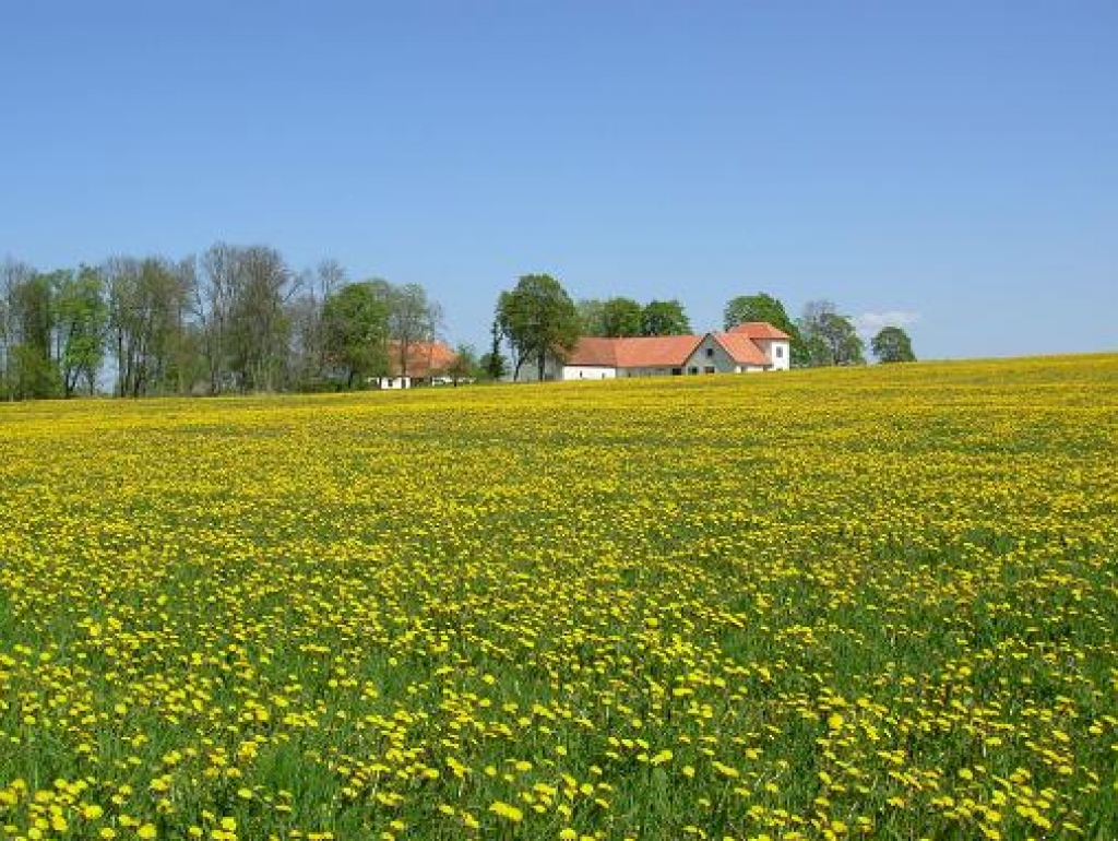 Iespēja kompensēt neiegūto