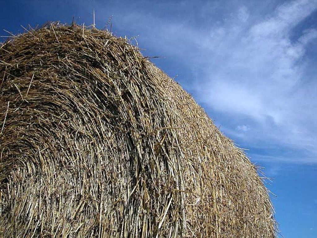 Mežotnē uz lauka sadeg salmi