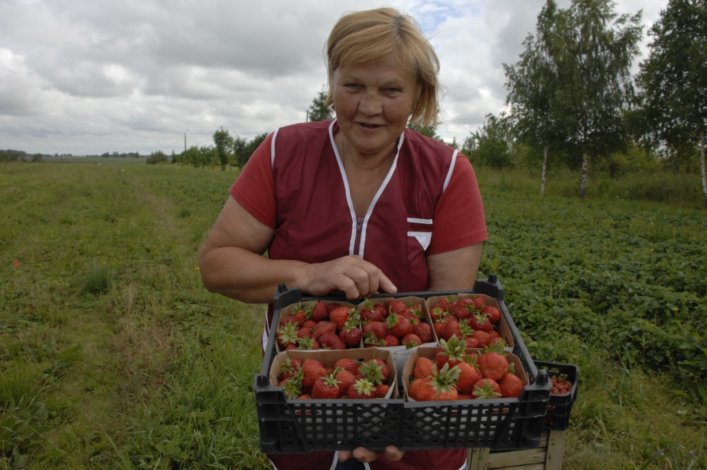 Rundāliete piedalīsies Zemeņu festivālā