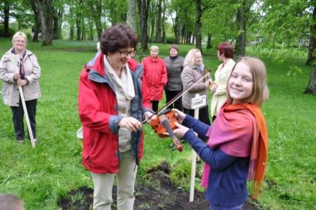 Vecumnieku parkā iestāda valrieksta koku un kastaņu