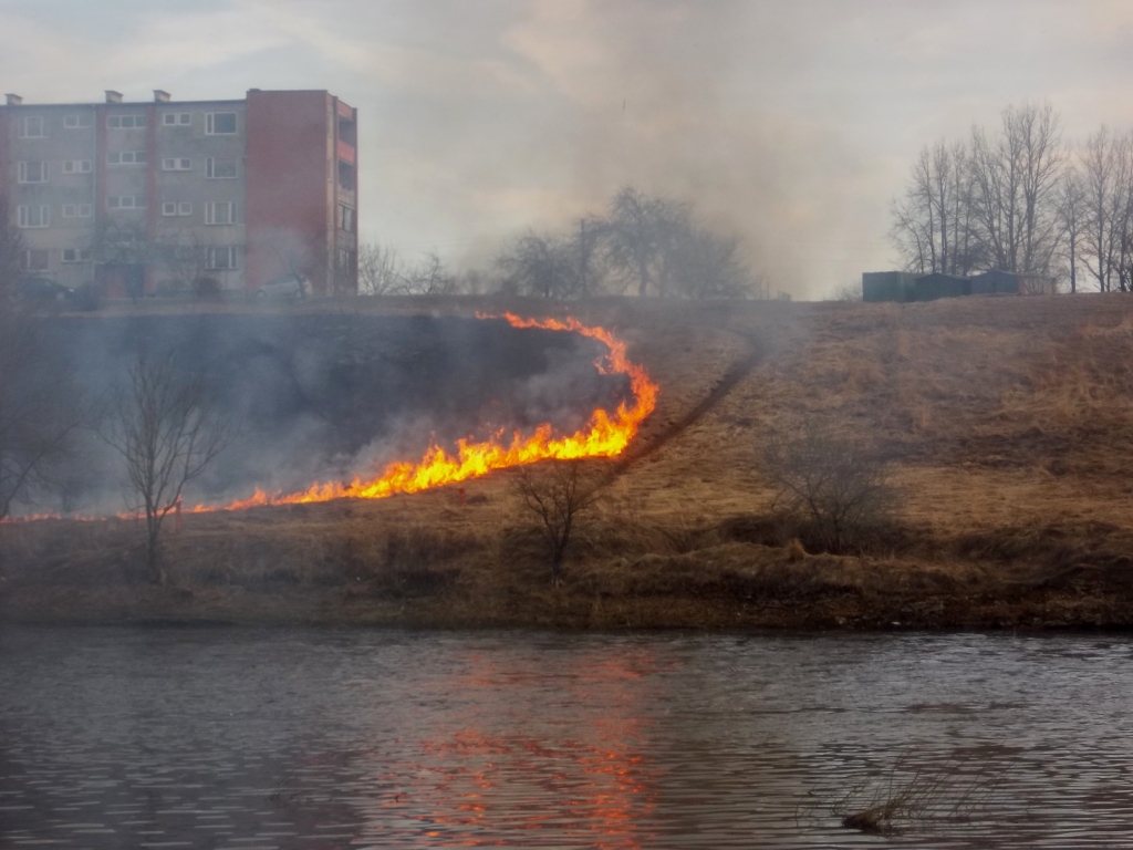 Turpinās kūlas svilināšana