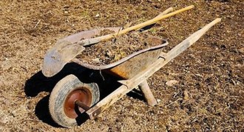 Sākas ikgadējā lauku saimniecību apsekošana