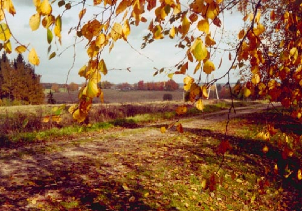 Svitenes skolēni vēros dabu