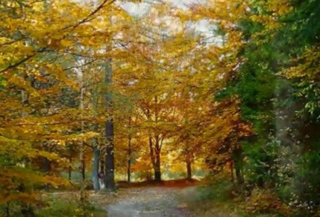 Rudens lapkritis šogad neliecina par bargu ziemu