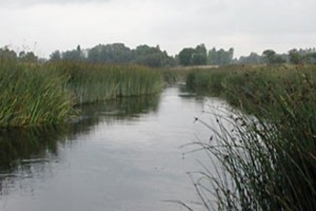 Ūdens temperatūra upēs nepārsniedz plus 23 grādus
