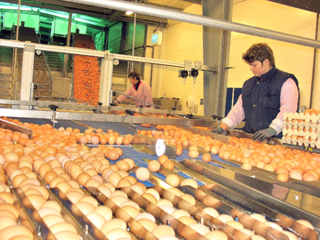 «Balticovo» apgrozījums pērn krities par 5,8%