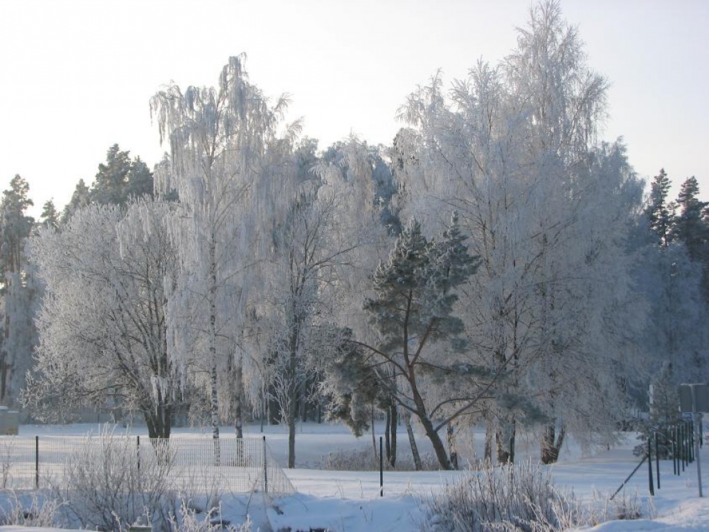 Bauskā pārspēts minimālās gaisa temperatūras rekords