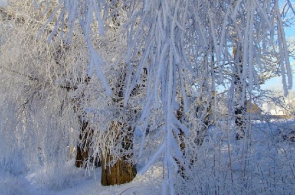 Šorīt visaukstāk bijis Daugavpilī - 29,5 grādi