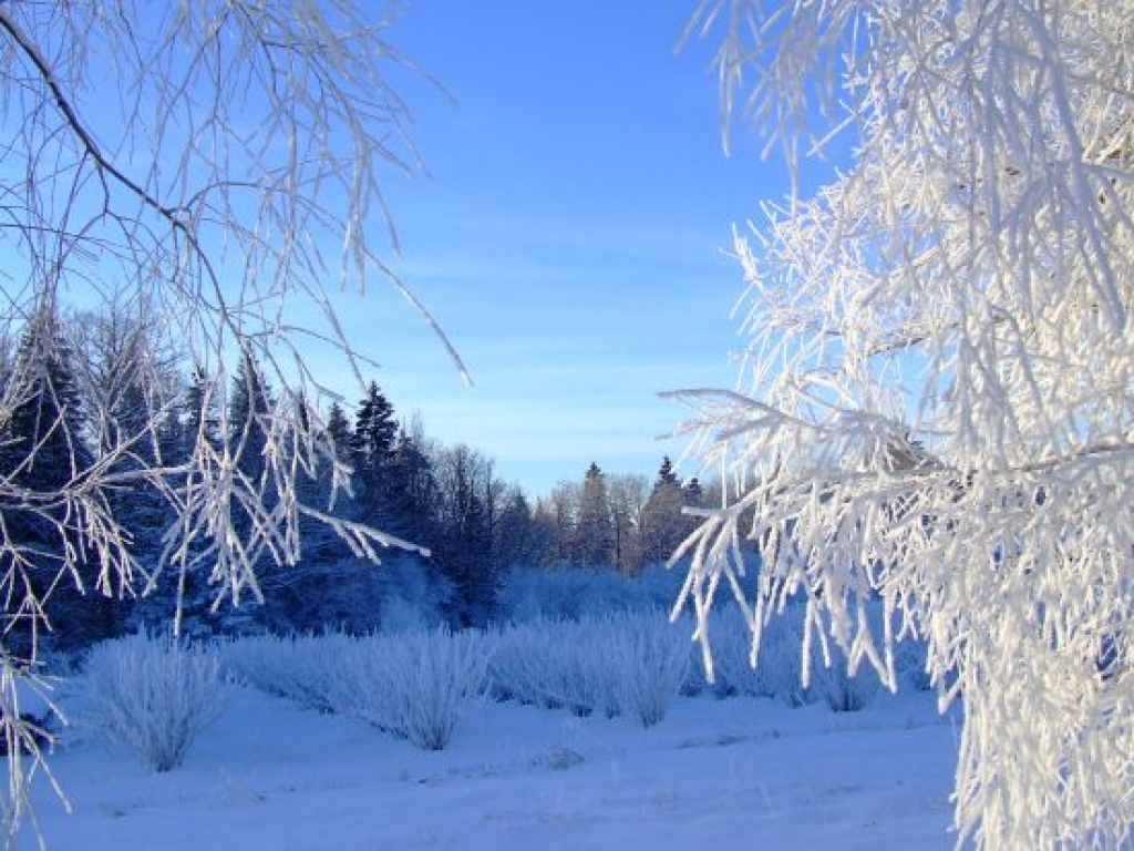 Naktī uz ceturtdienu gaisa temperatūra pazeminājās līdz -22 grādiem