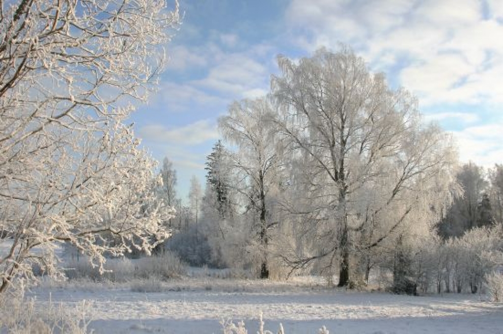 Jaunnedēļ sals mīsies ar atkusni
