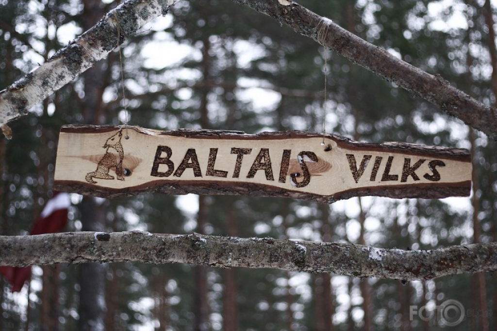Vecumnieku skauti piedalīsies ziemas nometnē