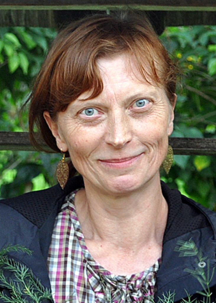 Sākuma rosība