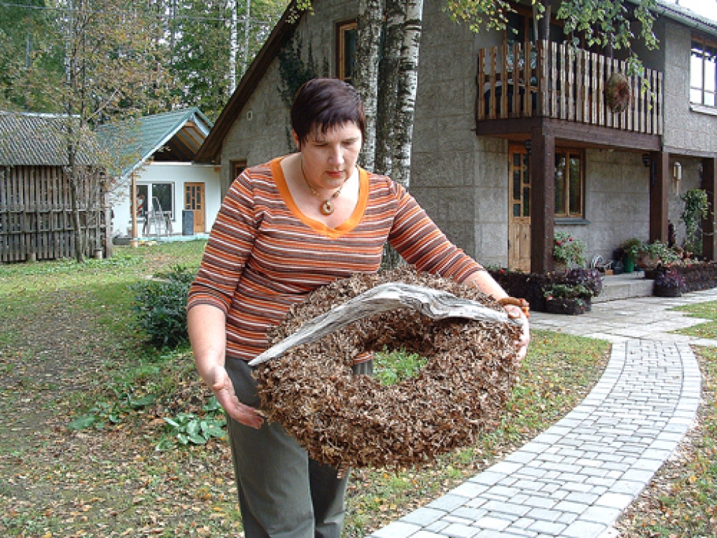 Ziedos pavadīti desmit gadi