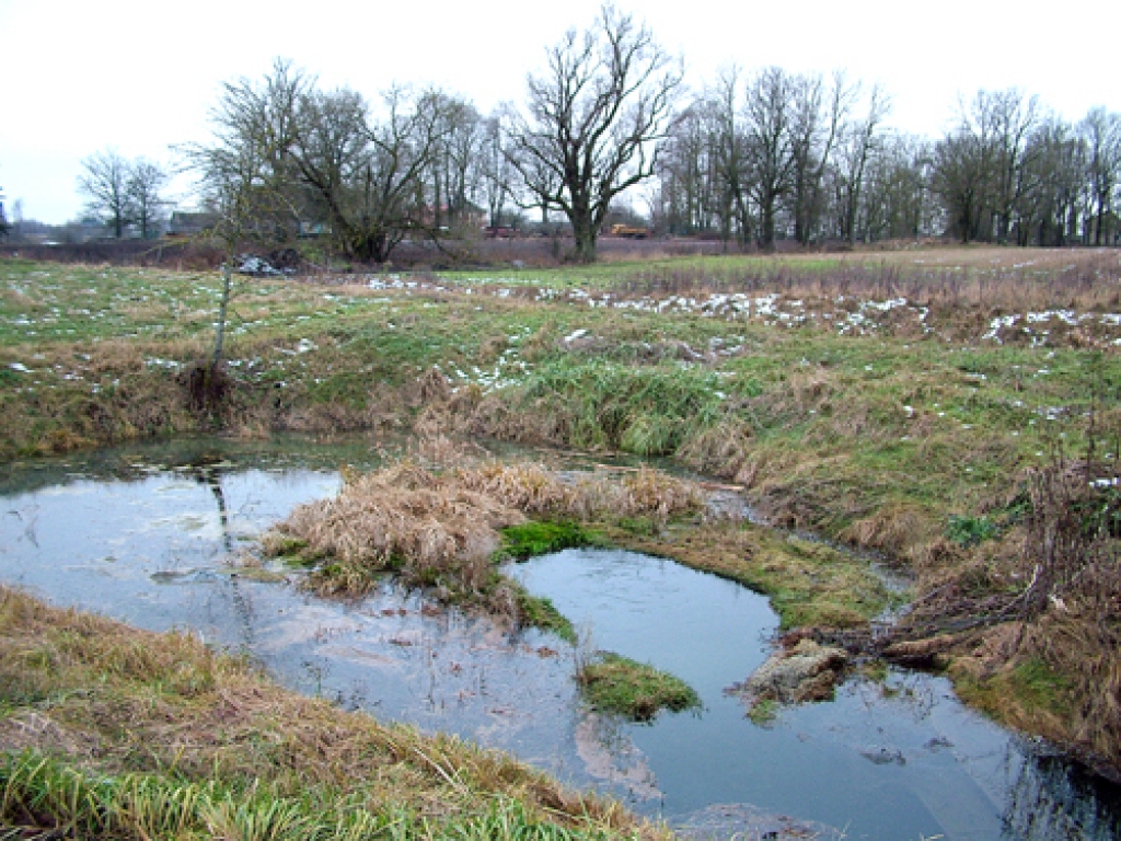 Kulšēnu avots – 2011. gada ģeoloģiskais objekts