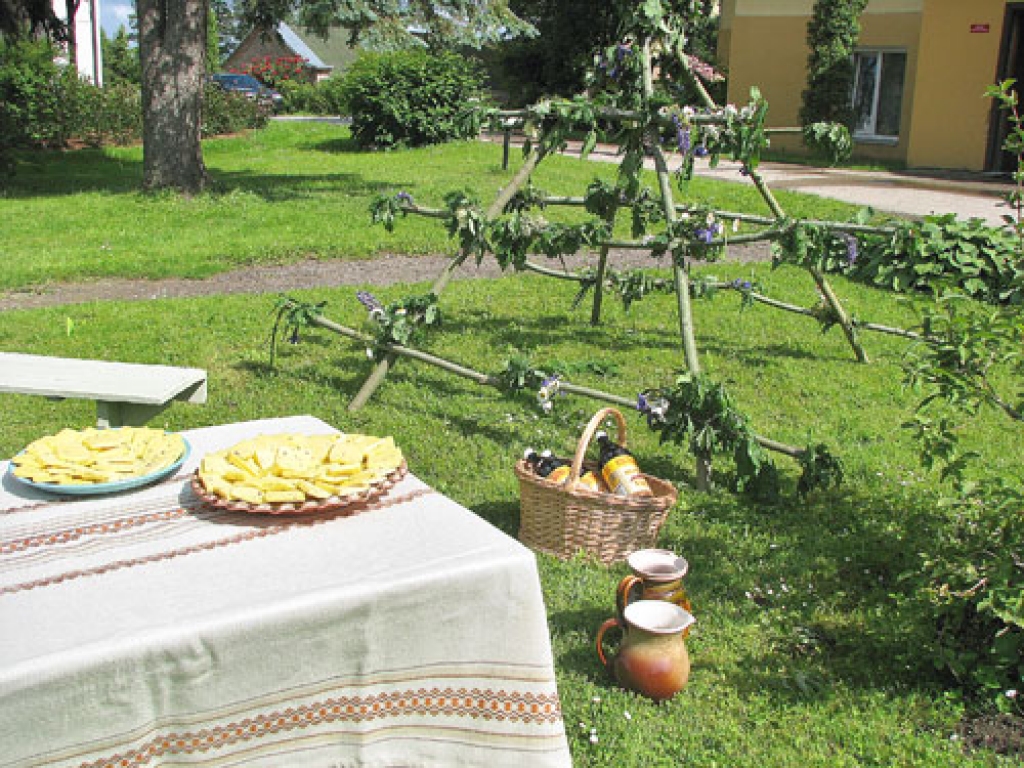 Līgo dienas rajonā