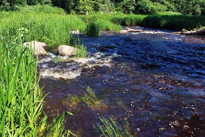 Ūdens temperatūra upēs ir no plus 20 līdz plus 24 grādiem