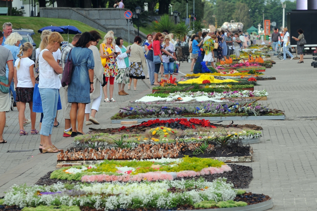 Vecumnieku floristi ziedu paklāju festivālā plūc laurus