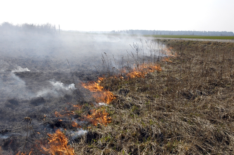 Rudenī jācīnās pret pavasara ugunsgrēkiem