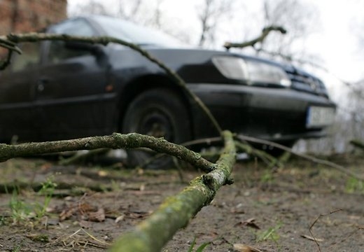 VUGD atgādina par drošu rīcību vētras laikā