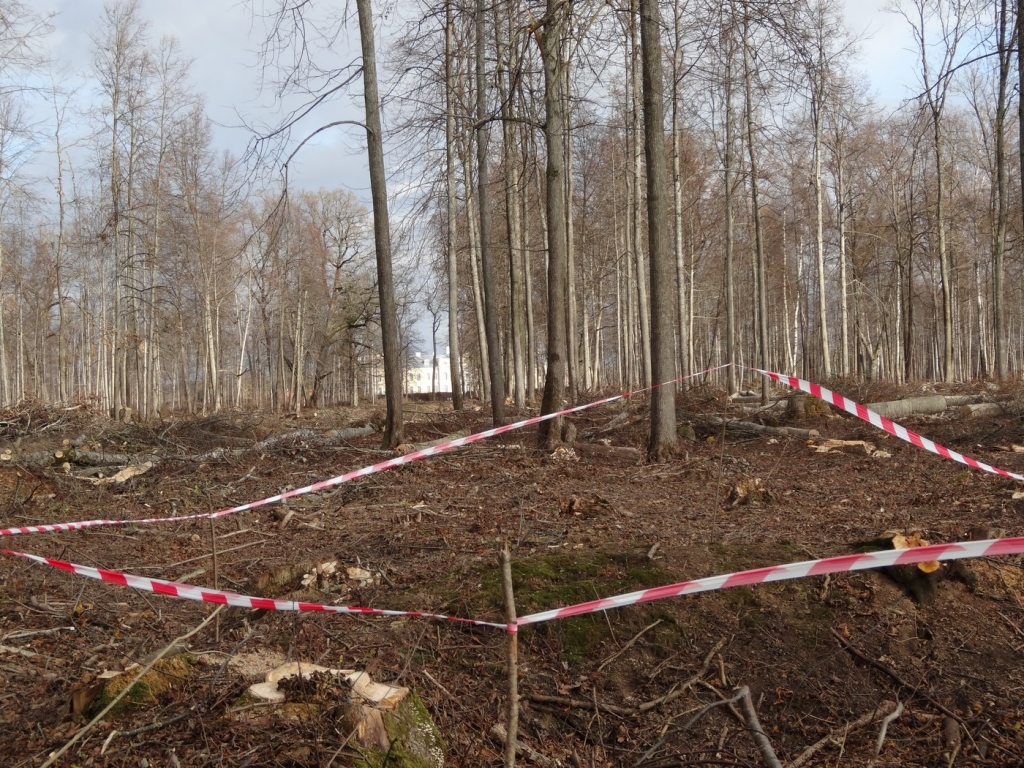 Rundāles pils parkā atrasts sprādzienbīstams priekšmets