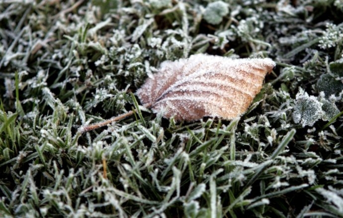 Zosēnos gaisa temperatūra noslīdējusi līdz mīnus 8 grādiem, Bauskā mīnus 1,9 grādiem