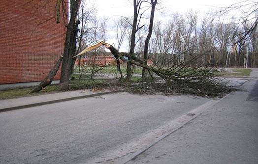 Nākamnedēļ gaidāma stipra vētra