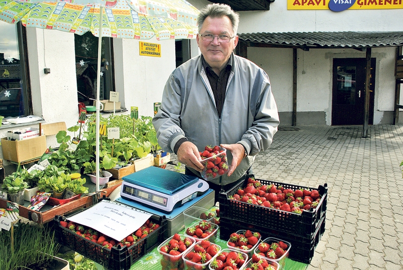Dravnieks: bitēm drīzāk trūkst barības