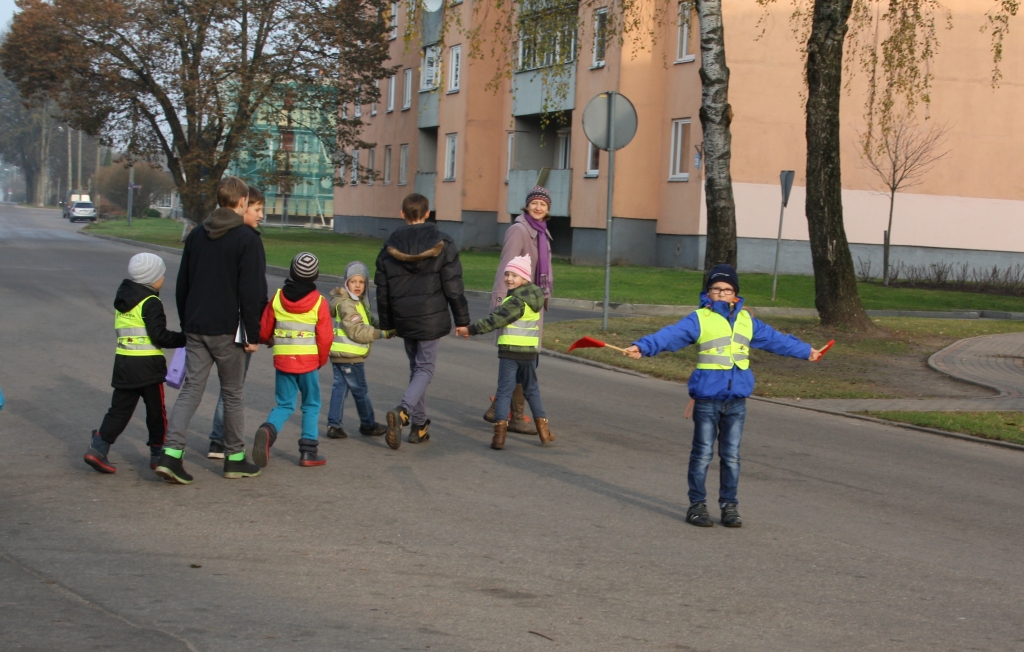 Rīcības dienā Iecavā uzrunā sabiedrību