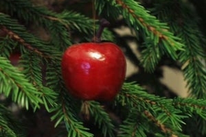 Egles iedegšana Bārbelē
