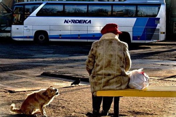 Samazinoties degvielas cenai ilgtermiņā, ATD nesola lētākas biļetes