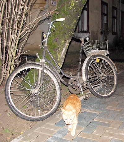 Pieķer divus iereibušus velosipēdistus