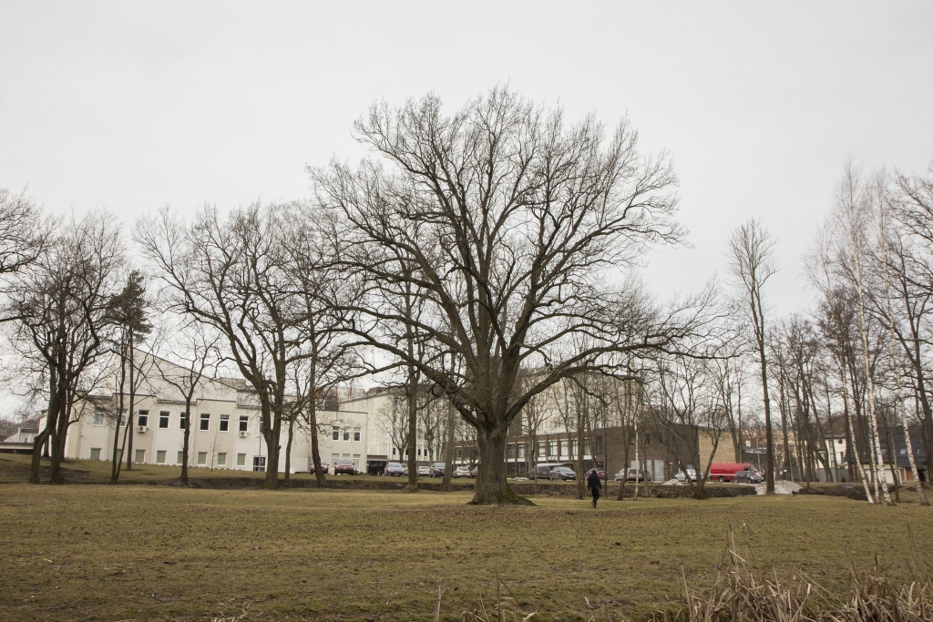 Pievienota galerija - Nodod RSU apkārtnes parku universitātes kompleksa attīstībai