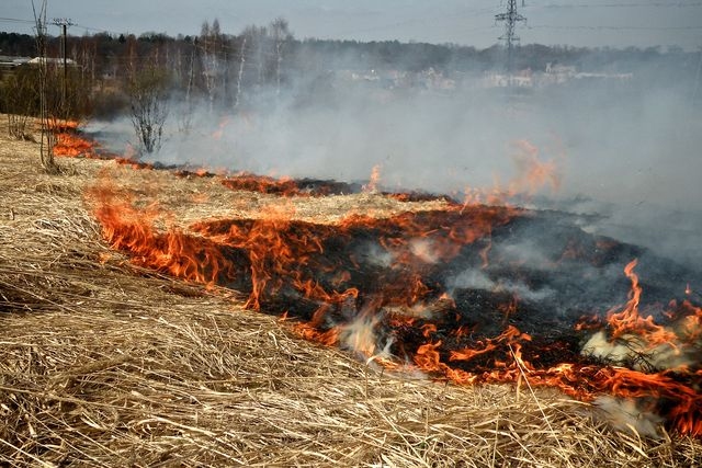 Kūlu visvairāk dedzina Zemgalē