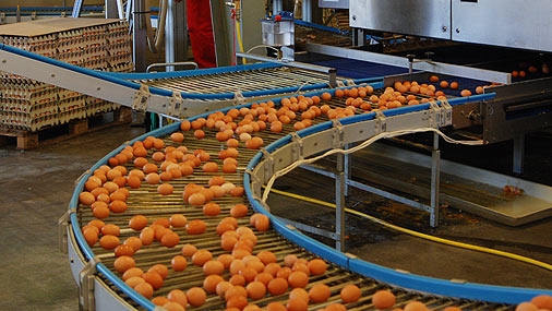 «Balticovo»: Pirmssvētku laikā olu un olu produktu pārdošanas apjoms palielinās par 30%