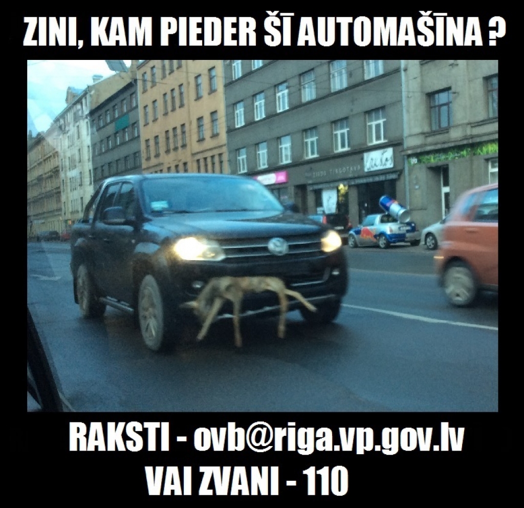 Policija meklē autovadītāju, kurš braukājis ar bamperī iesprūdušu stirnu
