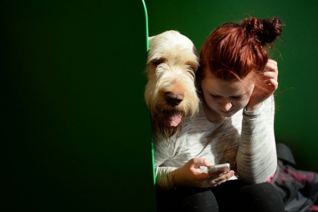 5 lietas, kas jāņem vērā, iegādājoties lietotu mobilo telefonu