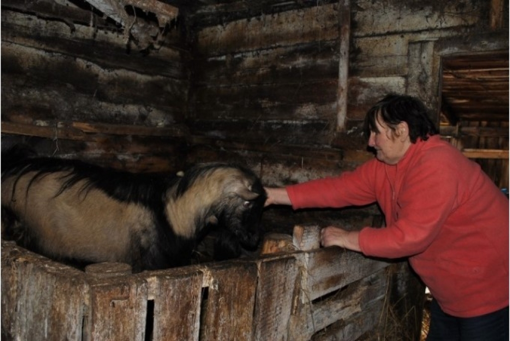 Mazais «lielveikals» Sērenē