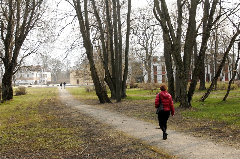 Plāno parka celiņa sakārtošanu Iecavā