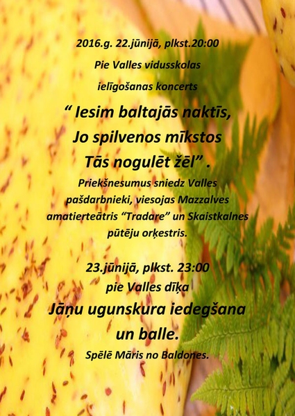Ielīgošanas koncerts Vallē
