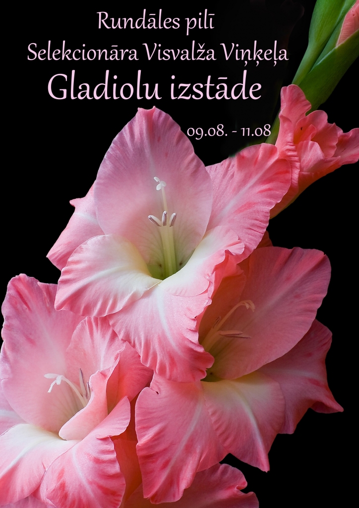 Rundāles pilī būs apskatāma gladiolu izstāde