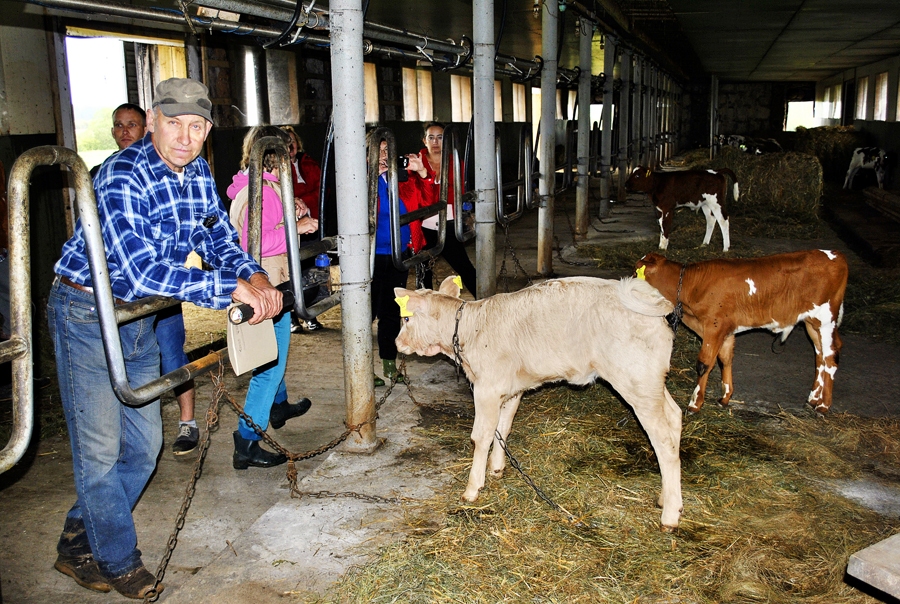 Zāle no pļavas, teles pie mātēm