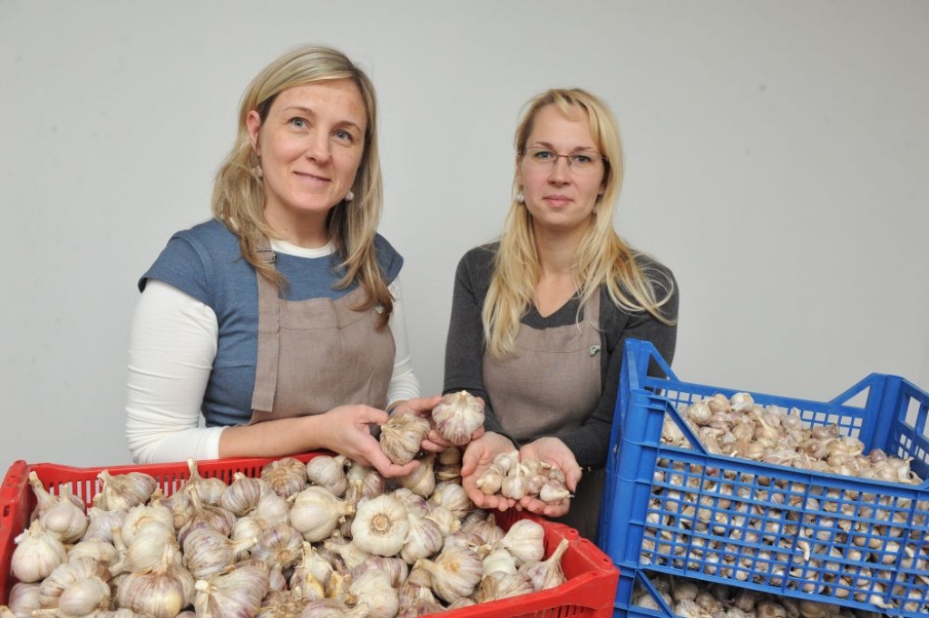 Mana pieredze: Ceļ godā ķiploku
