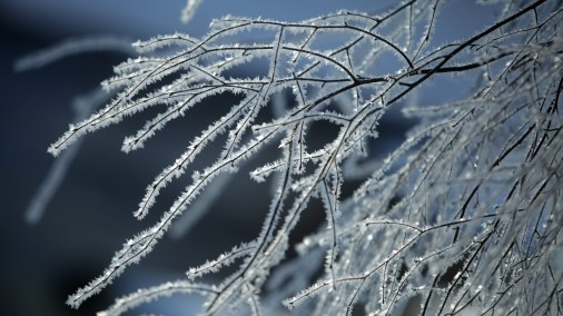 Nākamajā naktī gaisa temperatūra var noslīdēt līdz mīnus 14 grādiem