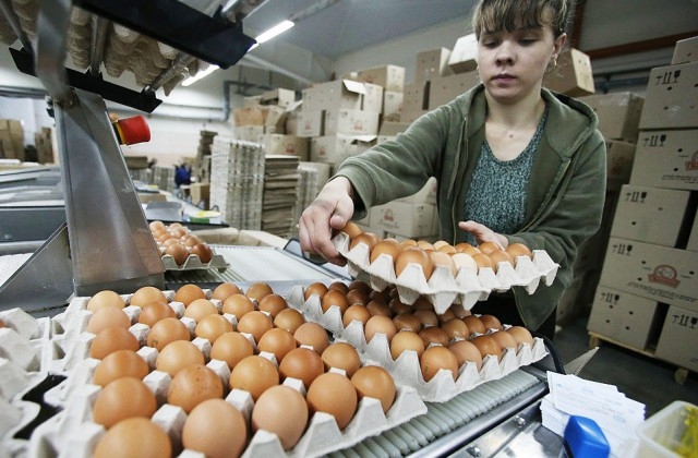 «Balticovo» šogad apgrozījumu prognozē pagājušā gada līmenī