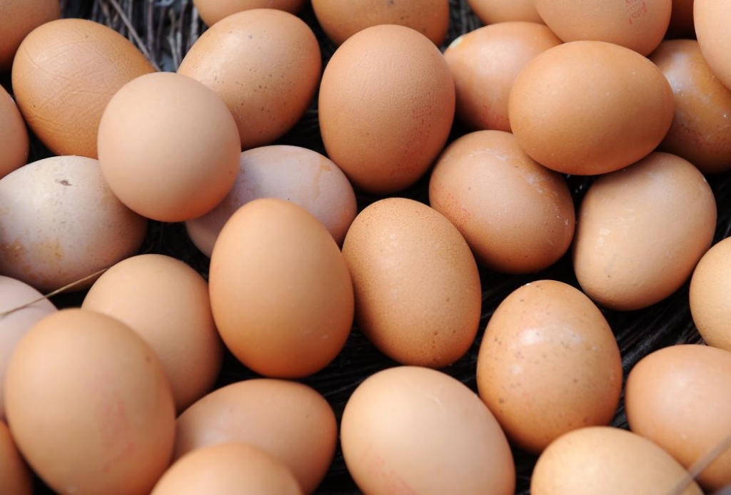 Balticovo bioolas piegādās vietējā zemnieku saimniecība
