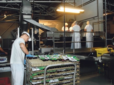 Ierosināts SIA «Jaunkrasts» tiesiskās aizsardzības process